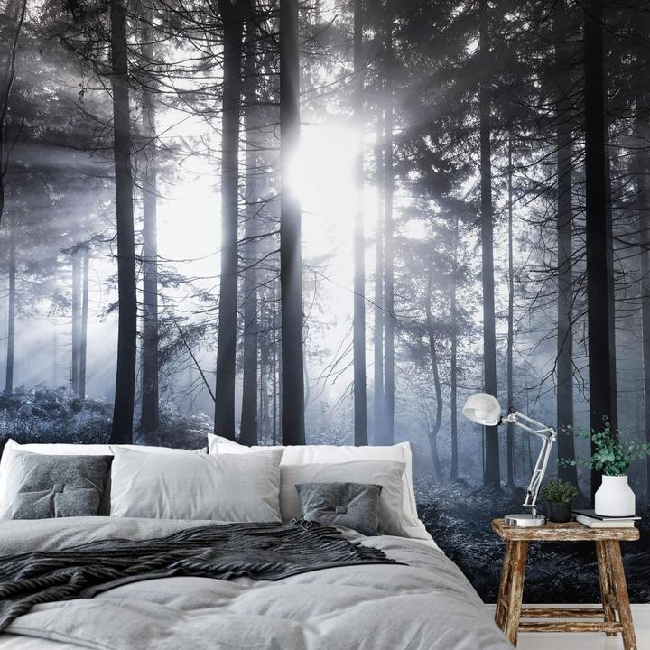 Produktbild Trenddeko Sonnenstrahlen im Wald Blau (384 x 260 cm)