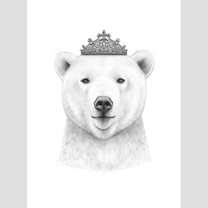 Produktbild Trenddeko Queen Bear (192 x 260 cm)