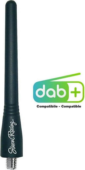 Simoni Racing Antenne