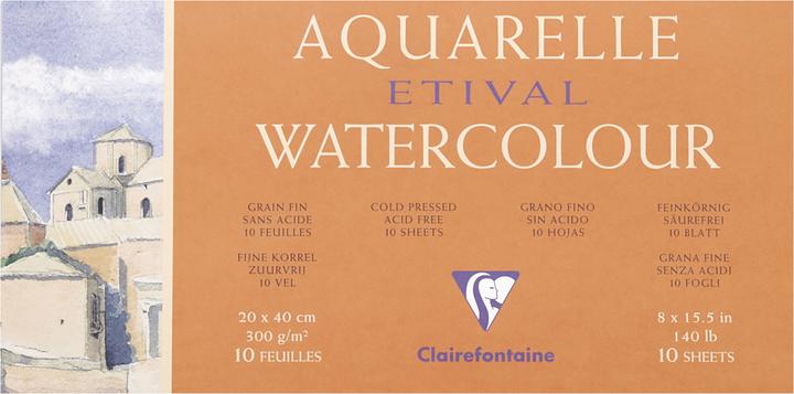 Immagine prodotto Clairefontaine Tecniche umide (300 g/m², 88 x)