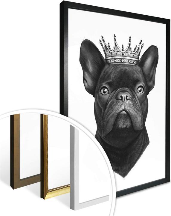 Immagine prodotto Trenddeko Re bulldog francese (24 x 30 cm)