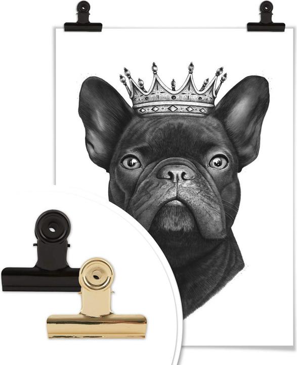 Immagine prodotto Trenddeko Re bulldog francese (24 x 30 cm)