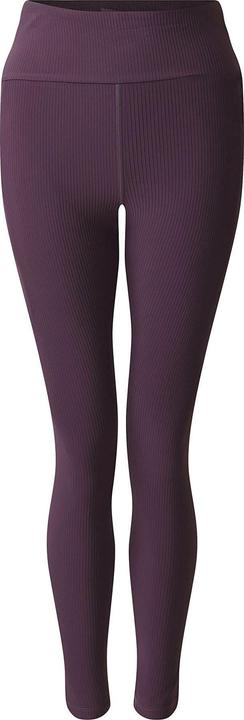 Actual product image Dare2b Womens/Ladies Hustle Ribbed Leggings (42)