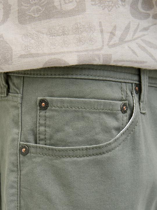 Actual product image Jack & Jones Regular fit shorts Shorts (S)