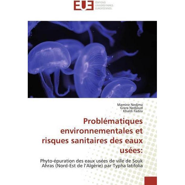 Problématiques environnementales et risques sanitaires des eaux usées:, Fachbücher von Khaldi Fadila, Mamine Nedjma, Gra...