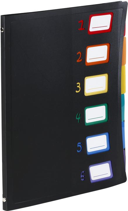 Image du produit Viquel dossier d'organisation (A4, 1 x)