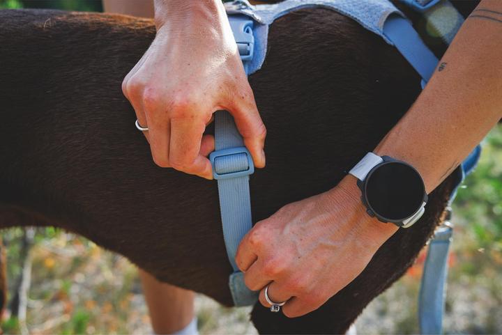Produktbild Ruffwear Front Range Flex (S, Hund)