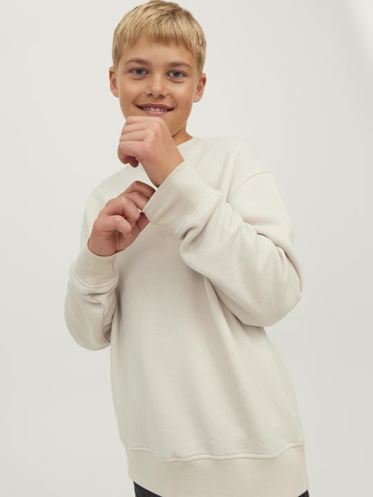 Immagine prodotto Jack & Jones Felpa (140)