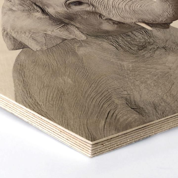 Image du produit Trenddeko Charm Éléphant chance (35 x 30 cm)