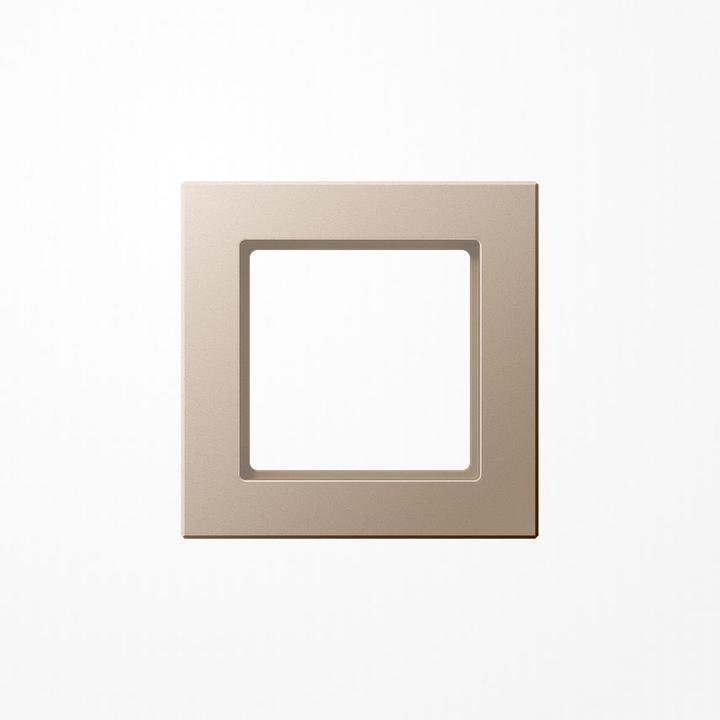 Actual product image JUNG Frame