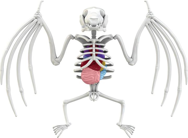 Productafbeelding Simba Scout Dissect-It Mini Lab, 3-p.