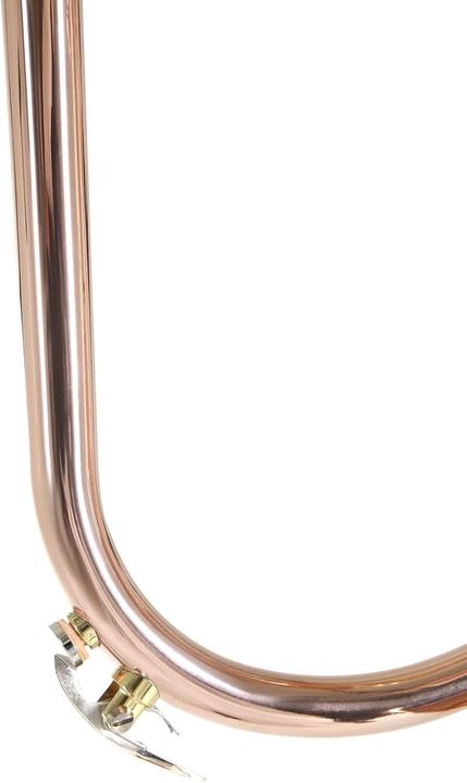 Produktbild Roy Benson Bb Flugelhorn mit MS-Bohrung, Goldmessingbecher und Koffer mit Rucksackfunktion (Flügelhorn)