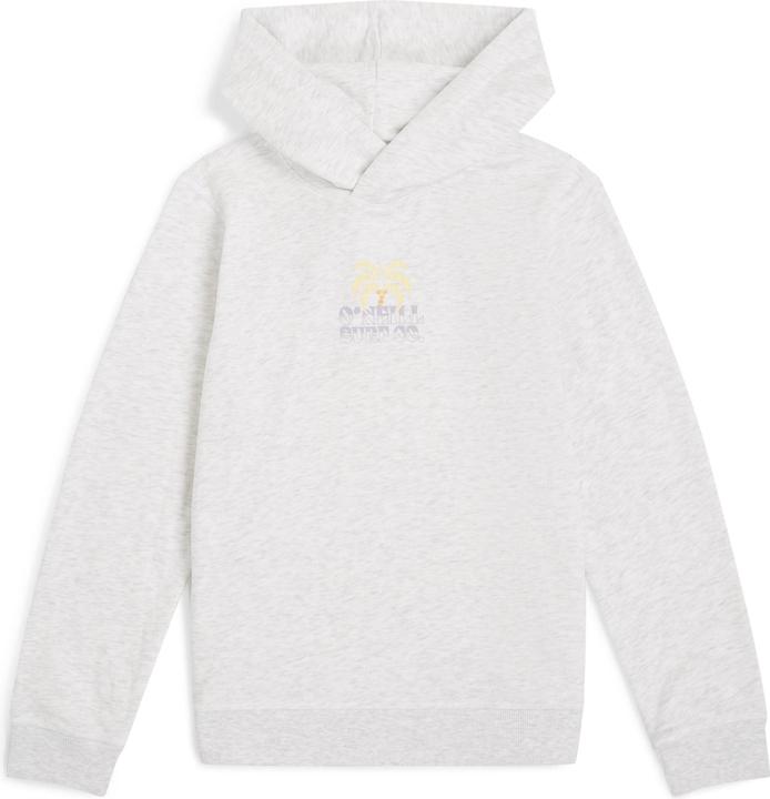 Produktbild O'Neill Back Print Hoodie (152)