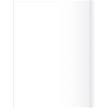Staufen, Heft + Block, Zeichenpapier Style 608469000 80 g/m² 250 Stück (Blanko)