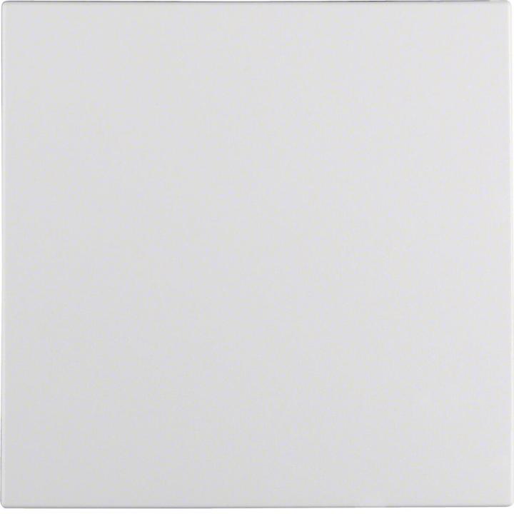 Actual product image Berker Rocker