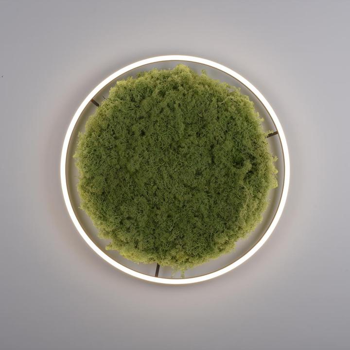 Produktbild Leuchten Direkt Green Ritus (3650 lm)