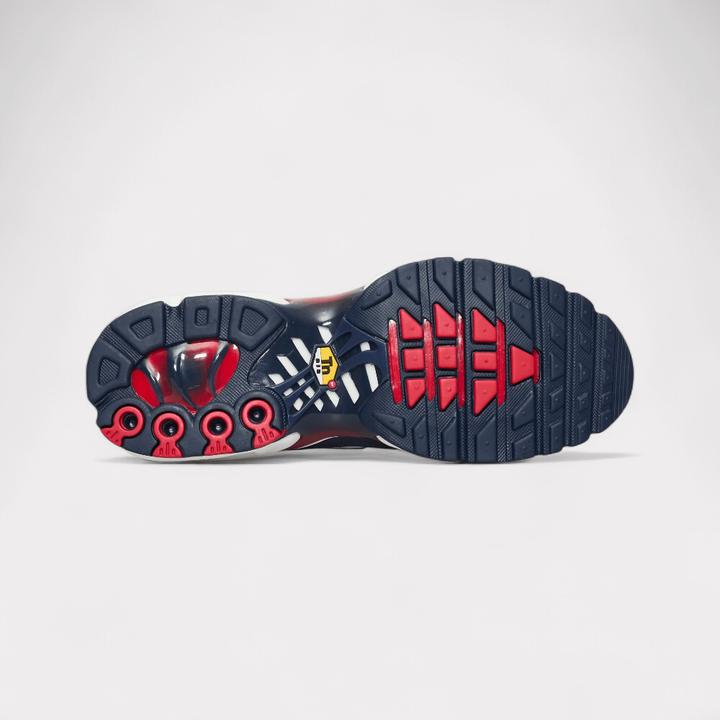 Produktbild Nike Air Max Plus (41)