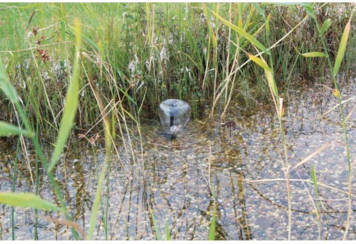 Produktbild Pontec Solar-Pumpenset 600 l/h 43325