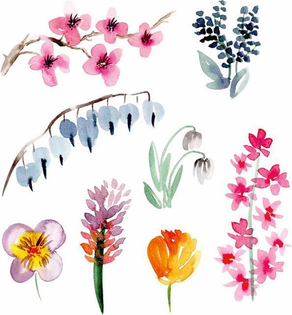 Produktbild Florales Watercolor (Deutsch, Christin Stapff, 2018)
