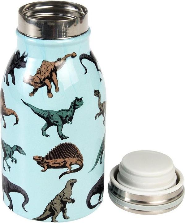 Actual product image Rex London stainless steel bottle for children prehistoric land (0.25 l)