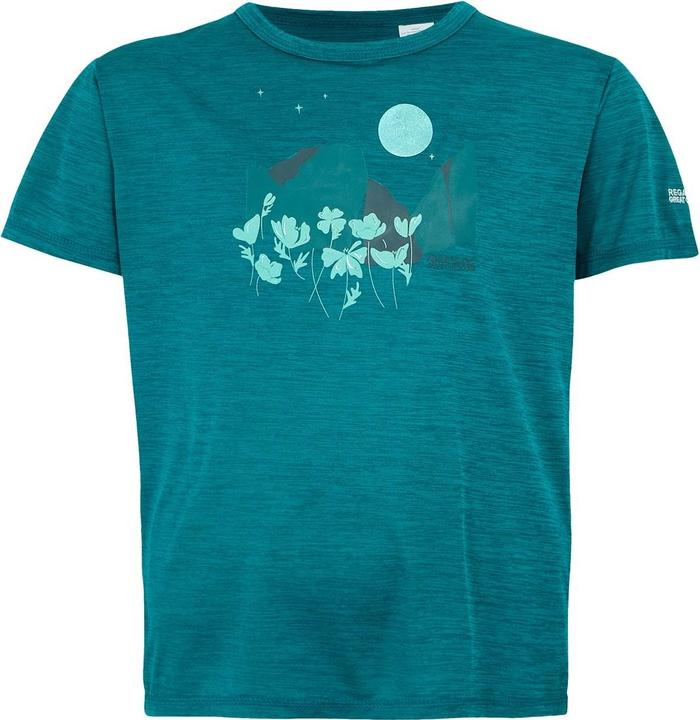 Produktbild Regatta Alvarado IX TShirt (158)