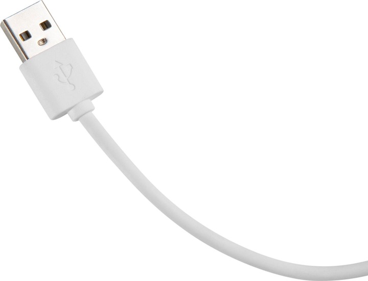 Image du produit Digitus Desktop Organizer avec chargeur Qi