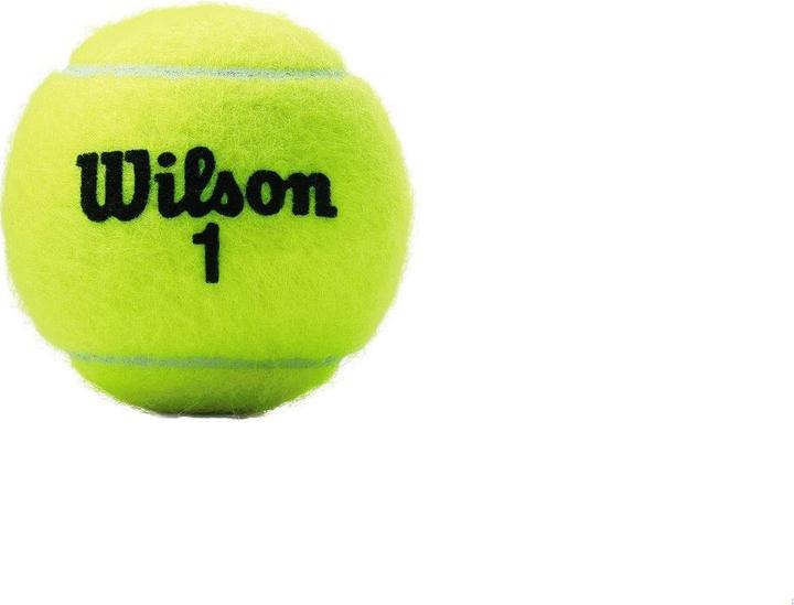 Image du produit Wilson Balles de tennis CHAMPIONSHIP 3 pièces WRT100101