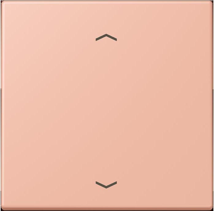 Produktbild JUNG Wippe 1fach m. Pfeilsymb.