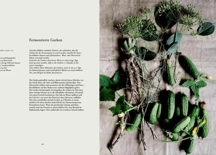 Produktbild Erde, Salz & Glut (Krautkopf) (Deutsch, Yannic Schon, Susann Probst, 2021)