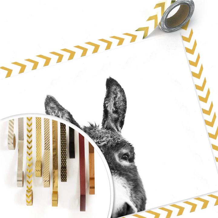 Produktbild Trenddeko Der Esel (80 x 60 cm)