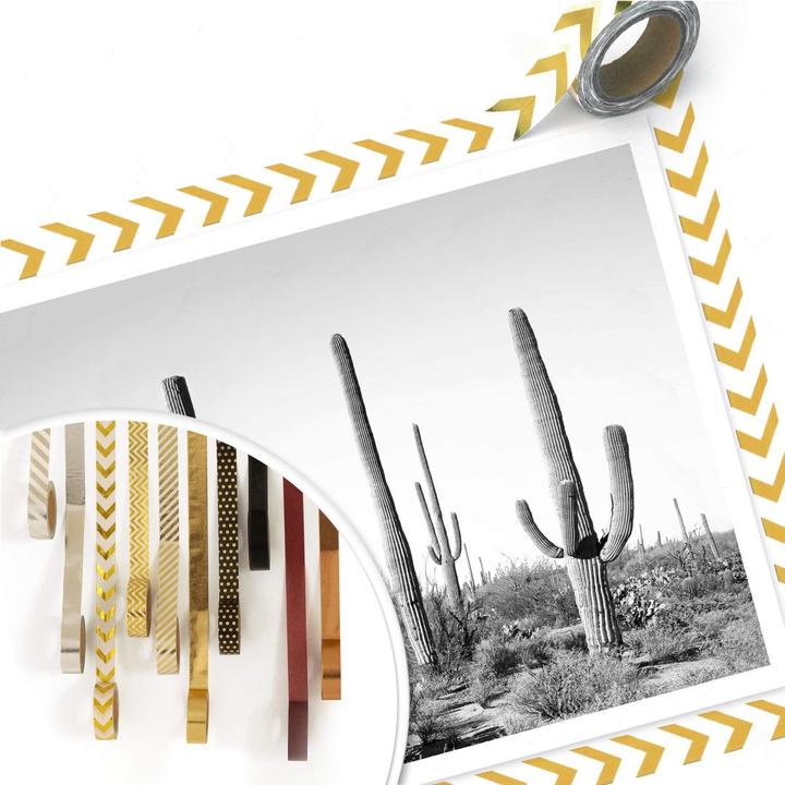 Image du produit Trenddeko Cactus dans le désert (50 x 40 cm)