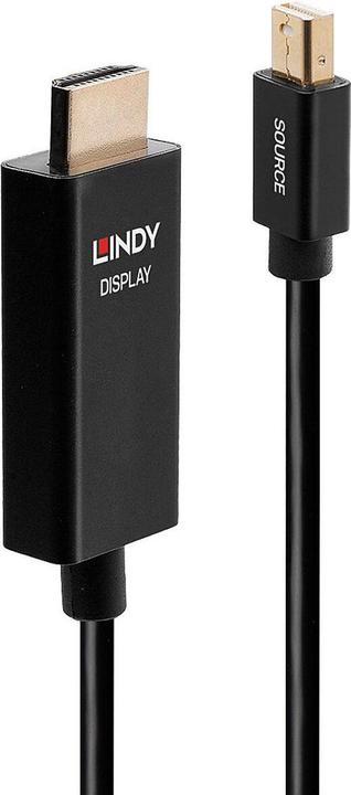 Image du produit Lindy Câble vidéo DisplayPort / HDMI (0.50 m)