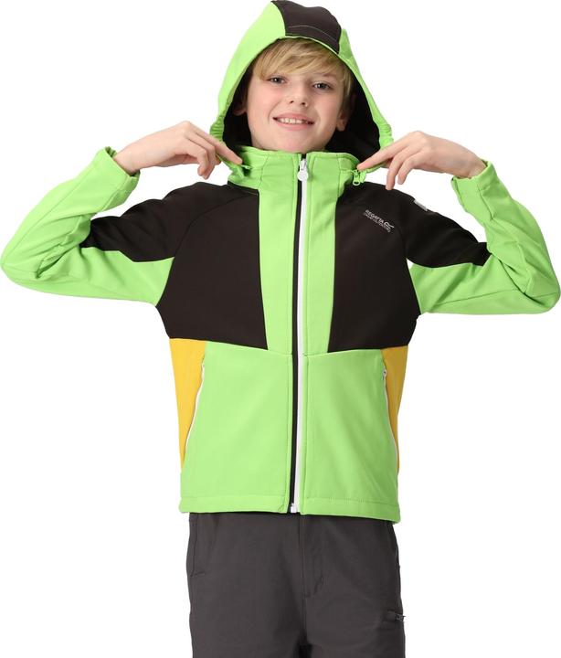 Produktbild Regatta Haydenbury Softshelljacke (146, 152)