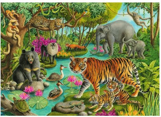 Actual product image Ravensburger Animals of India (60 pieces)