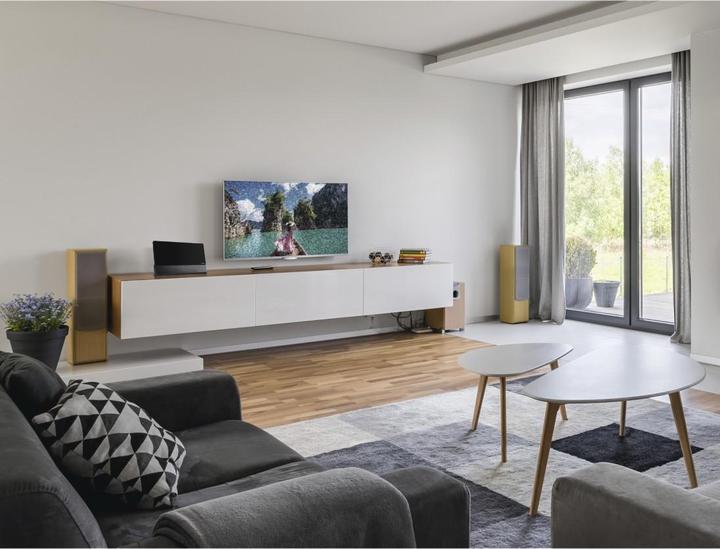 Image du produit Hama Premium (Antenne plate, 55 dB, DVB-T / -T2, UKW / MW / LW, DAB/DAB+)