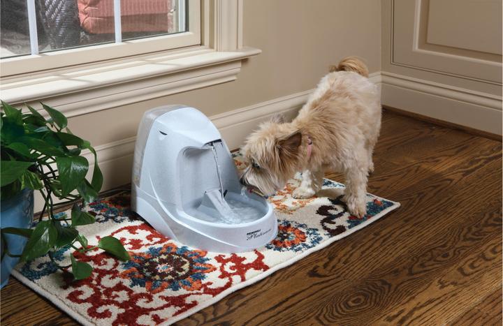 Image du produit Drinkwell Platinum (500 cl)