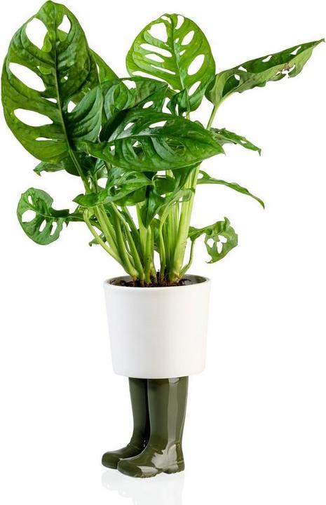 Produktbild Bitten Wellington Boot Planter Small (6.60 x 6.60 x 12 cm)