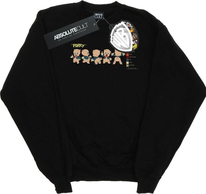Produktbild Looney Tunes Porky Pig Colour Code Sweatshirt (3XL)