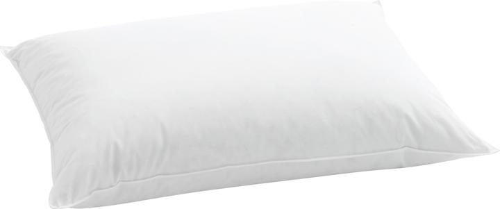 Immagine prodotto Billerbeck Standard 150 (65 x 65 cm)