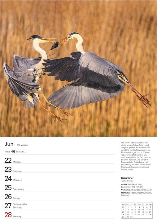 Produktbild Harenberg Heimische Tiere Wochenplaner 2026 - 53 faszinierende Fotografien