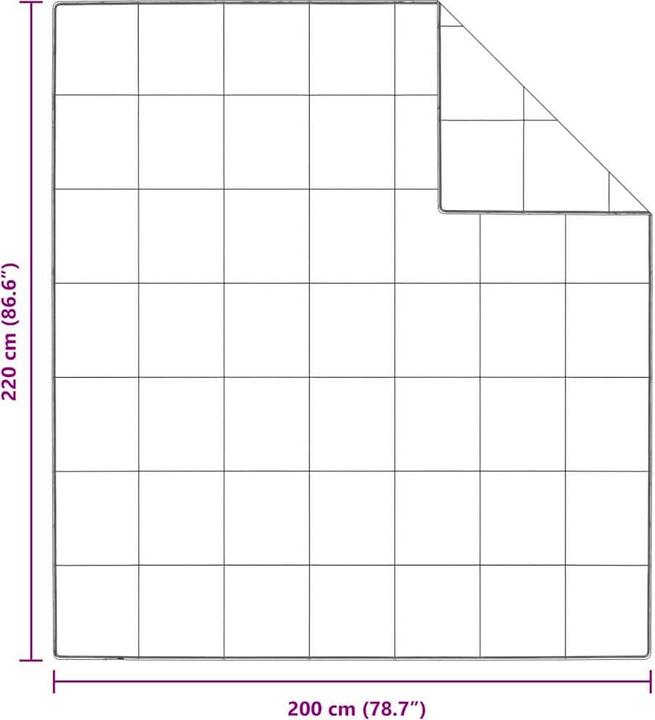 Immagine prodotto vidaXL Sommerdecke (1900 g, Piuma, 220 x 200 cm)