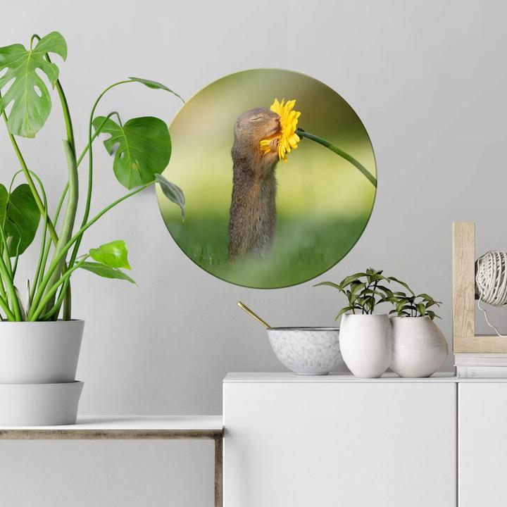 Produktbild Trenddeko van Duijn - Erdhörnchen riecht an Blume (Ø 50 cm)