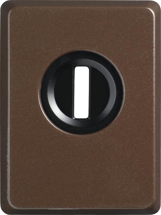 Actual product image Abus Armoured plate PZS70 with pull protection, brown
