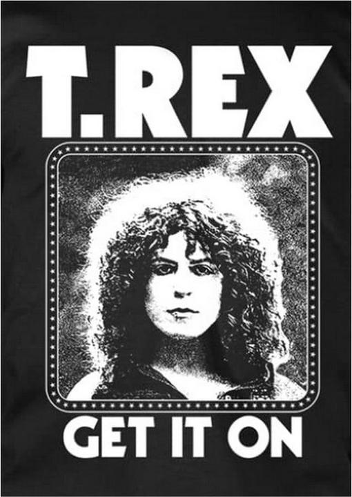 Produktbild Goldbuch TShirt (XL)