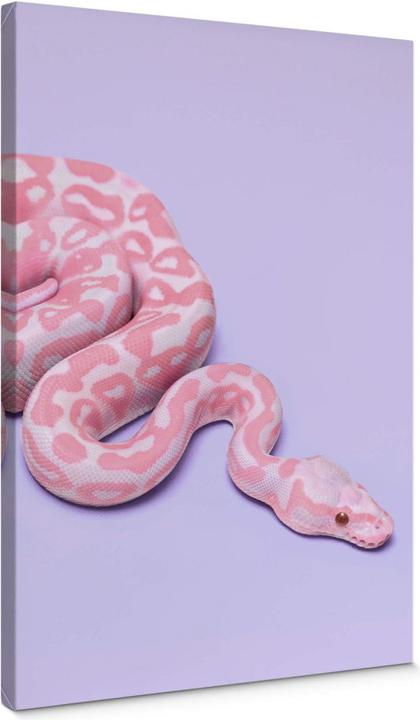 Image du produit Trenddeko serpent rose (40 x 60 cm)