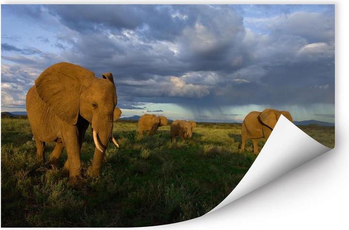 Actual product image National Geographic NG Herd of elephants (100 x 66 cm)