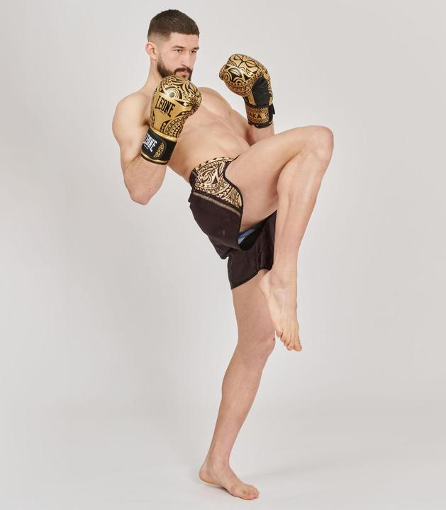Produktbild Leone Boxhandschuhe Haka GN329 Gold (16 OZ)