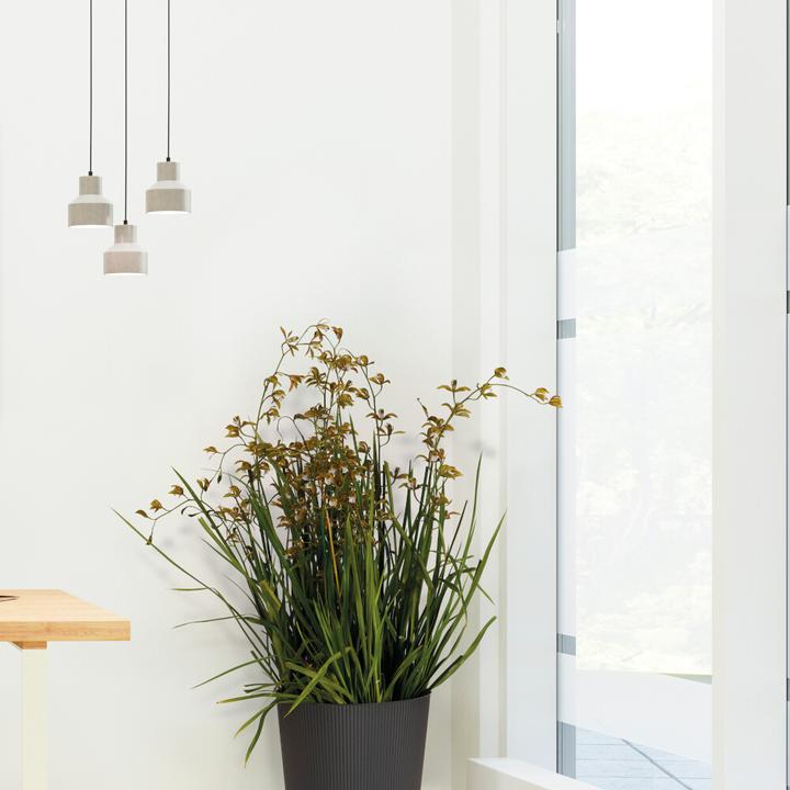 Produktbild Euro3plast Blumentopf Fyre Ø 40 cm anthrazit Greener, mit Rollen