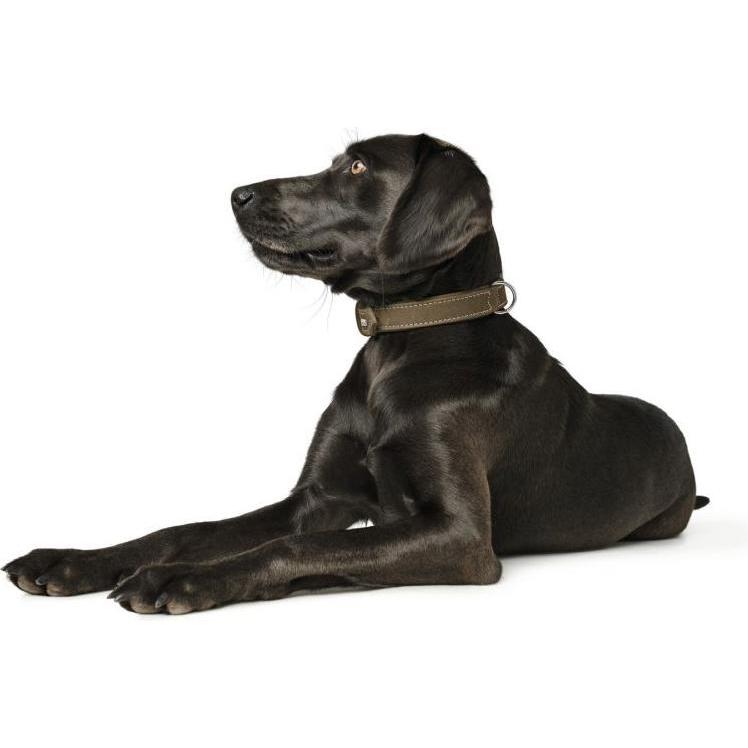 Thumbnail - Hunter Collar Hunting 45 - Olive - (63880) (45, Hund), Halsband + Leine
