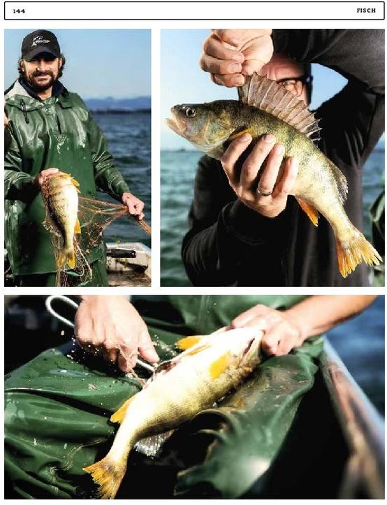 Produktbild Wild gegrillt (Deutsch, Tom Heinzle, 2022)